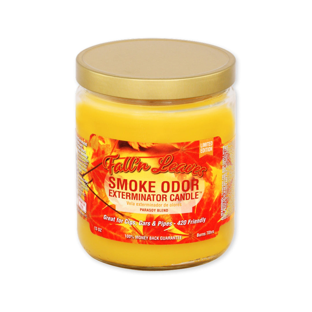 Smoke Odor 13oz Fall N Leaves Candle