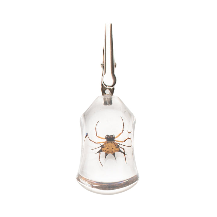 Spider Roach Clip